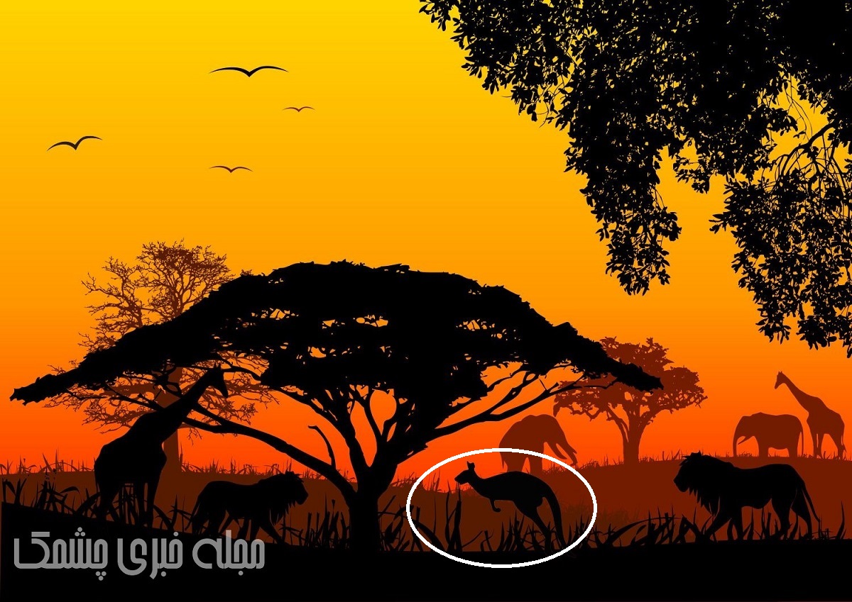 جواب شناخت اشتباه تصویر جنگل آفریقا